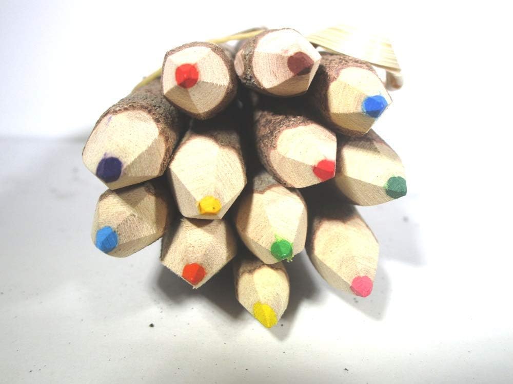 World Buyers Colored Wooden Tree Branch Twig Pencils 5" (1)
