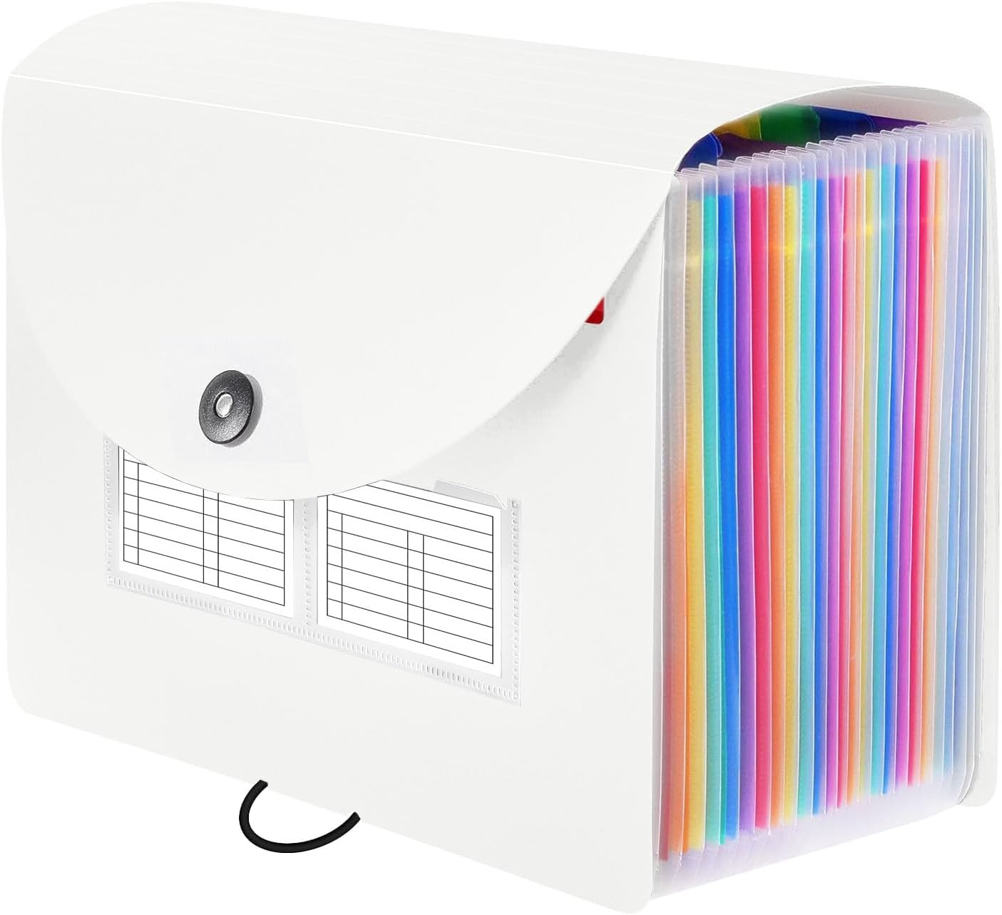 Sooez 24 Pockets Expanding File Folder with Blank Labels, According File Organizer with Expandable Cover, Desktop Accordion Folders Letter A4 Paper Document Storage Organizer, Black