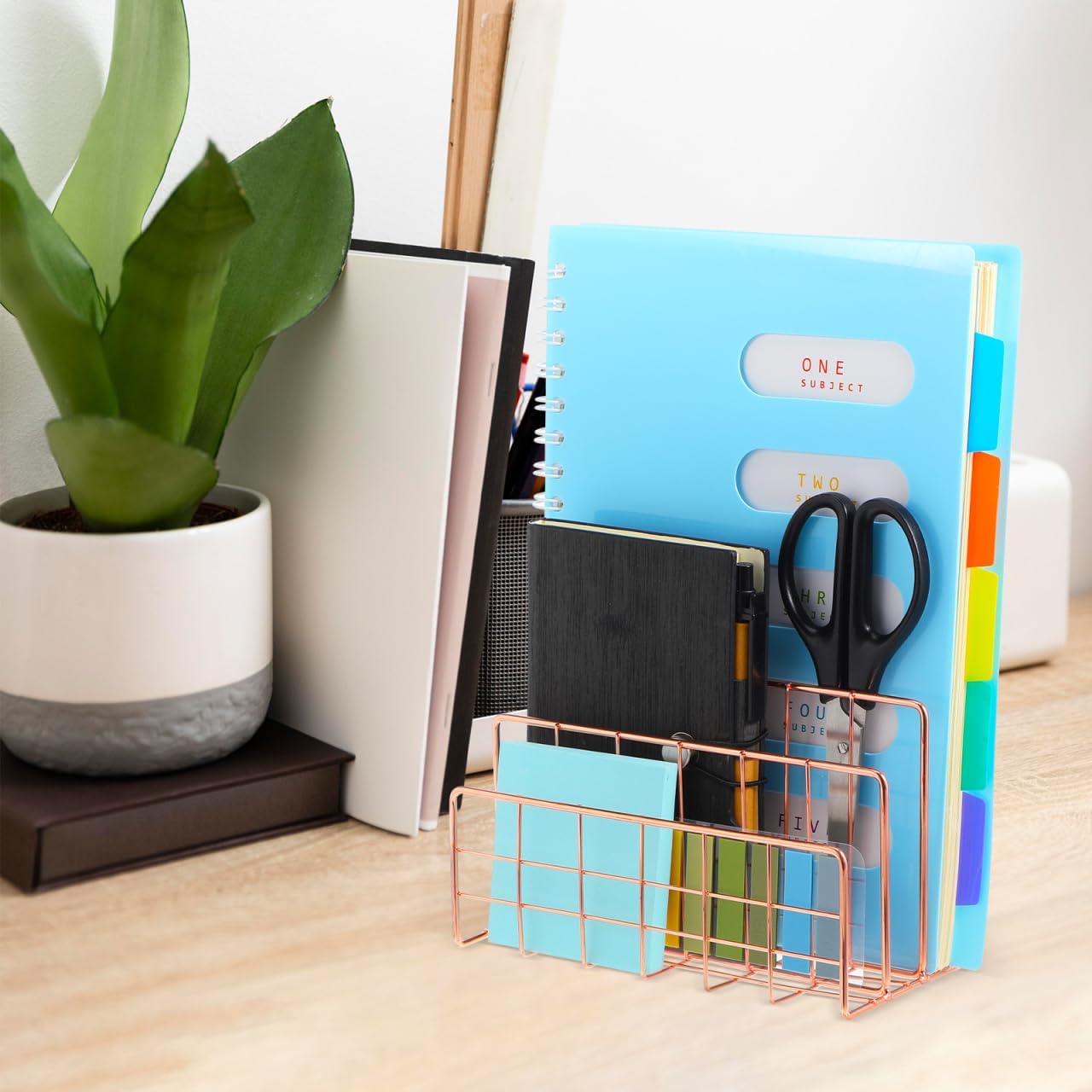 File Holder for Desk: No Wobbling 3 Slots Magazine Holder Office Desktop File Sorter Organizer for Folders Binders, Rose Gold