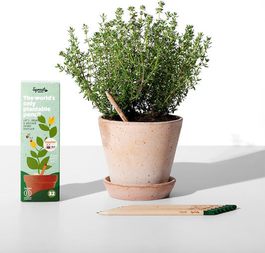 SproutWorld Wood-Cased Pencils | Teacher's Edition | HB Pre-Sharpened Graphite Plantable Wooden Pencils with flower, Herb & Vegetable Seeds | Gift for Teachers | 32 Pack