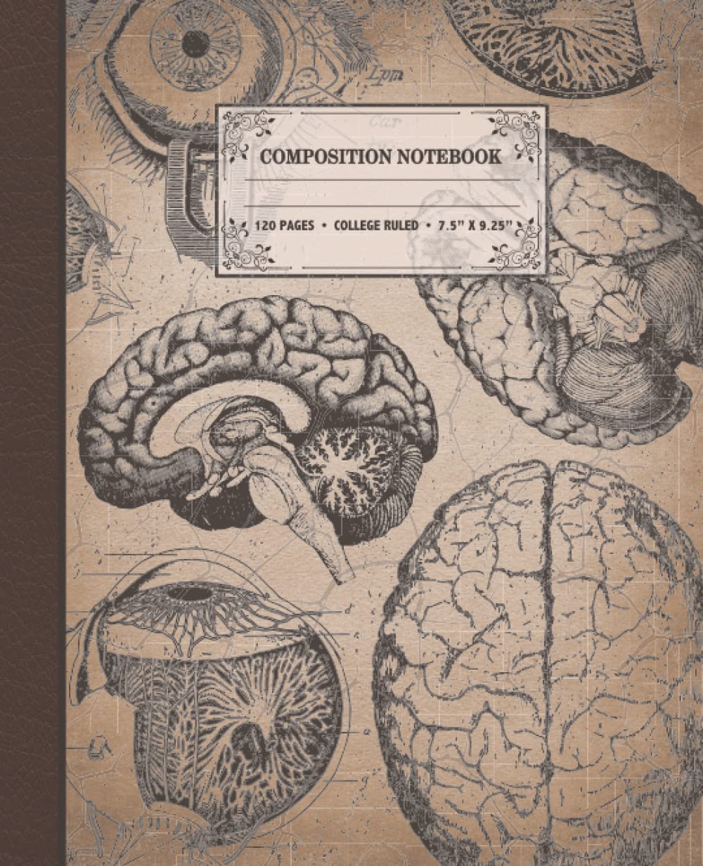 Composition Notebook: College Ruled | Vintage Human Anatomy Composition Notebook | Antique Aesthetic | Brain Theme | 7.5" x 9.75” | Great for Medical Students