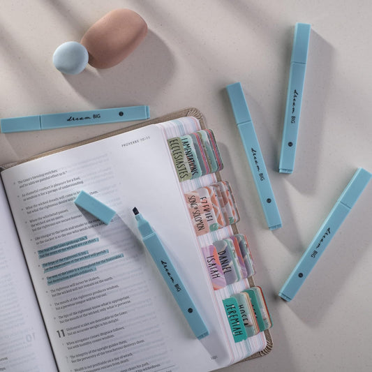 DIVERSEBEE Bible Highlighters with Soft Chisel Tip, 8 Pack Assorted Colors Pens No Bleed, Quick Dry Set, Cute Aesthetic Markers, Bible Study Journaling Supplies and Accessories (Pastel)