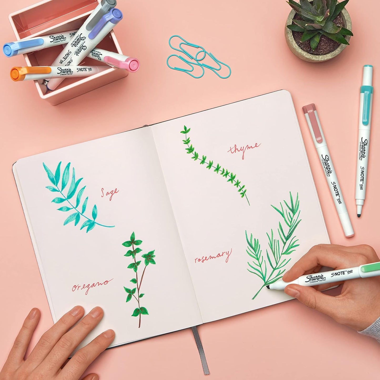 Sharpie S-Note Highlighter Pens | Part Art Marker Pen, Part Highlighter to Draw, Write & More | Assorted Pastel Colours | Chisel Tip | 4 Count