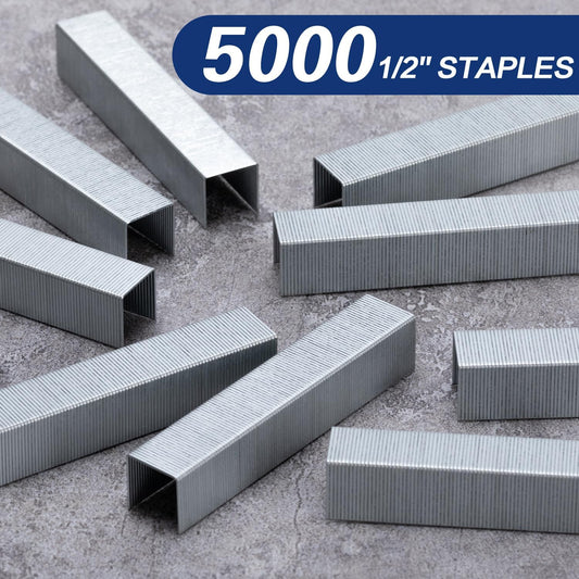 Deli Staples, 10000 Staples, Standard Staple for Desktop Staplers, 1/4'' Length, 210/Strip, 2 Boxes of 5000 Each