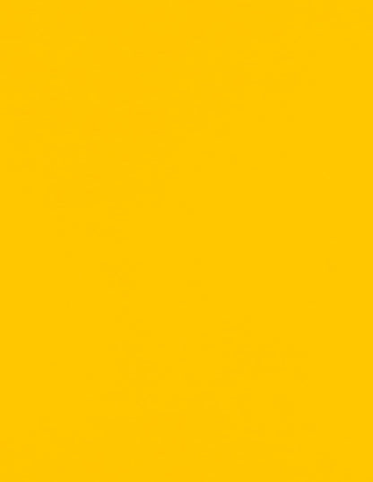 LUXPaper 8.5" x 11" Paper | Letter Size | Pastel Canary Yellow | 60lb. Text | 50 Qty