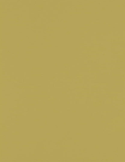 LUXPaper 8.5" x 11" Paper | Letter Size | Pastel Canary Yellow | 60lb. Text | 50 Qty