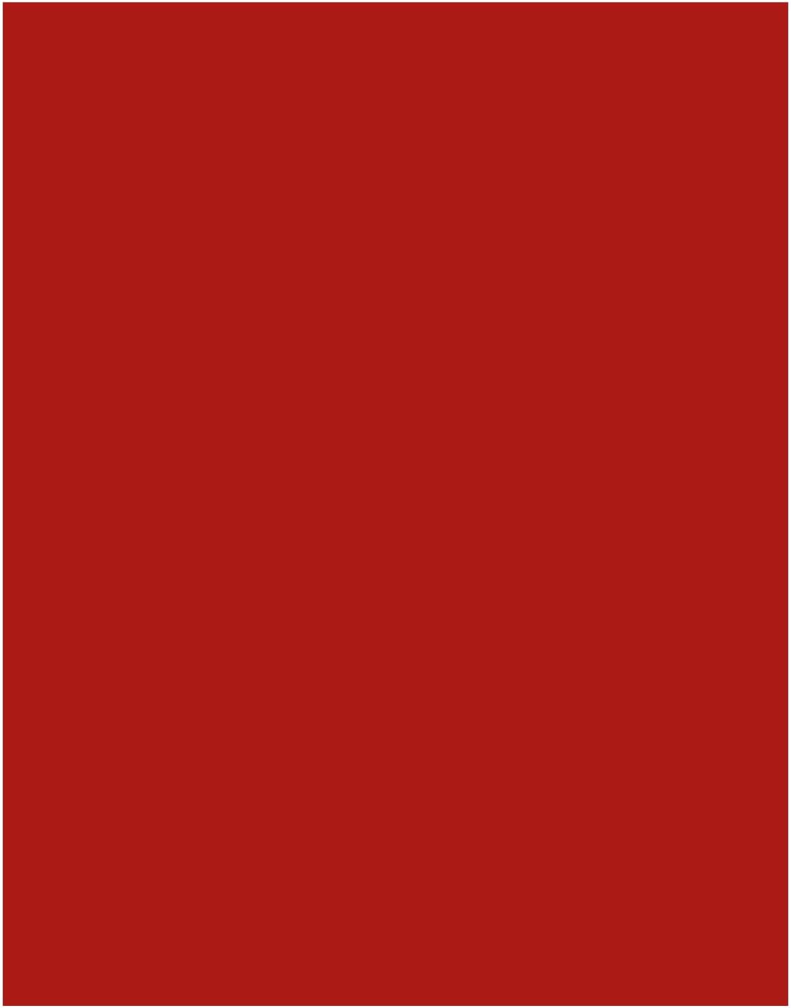 110lb White Cardstock 8.5 x 11 inches,100 Sheets Heavyweight Thick Paper 300 GSM for Arts and Craft, Drawing, DIY Projects
