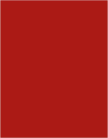 110lb White Cardstock 8.5 x 11 inches,100 Sheets Heavyweight Thick Paper 300 GSM for Arts and Craft, Drawing, DIY Projects