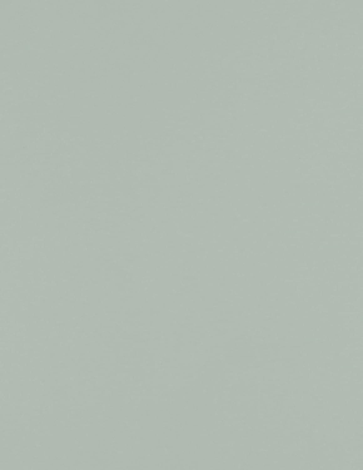 LUXPaper 8.5" x 11" Paper | Letter Size | Pastel Canary Yellow | 60lb. Text | 50 Qty