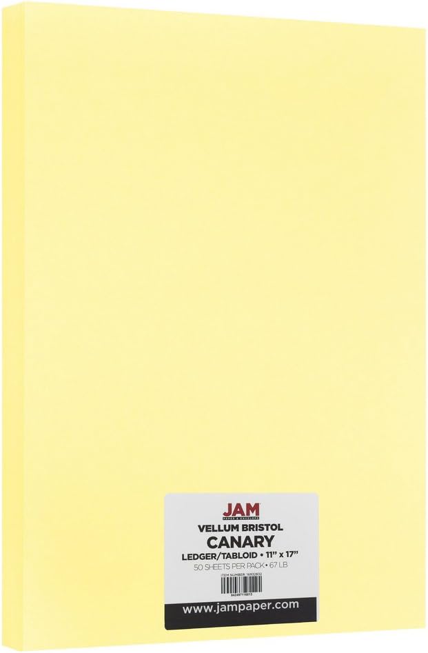 JAM PAPER Vellum Bristol 65lb Cardstock - 8.5 x 11 Coverstock - 147 gsm - Cream - 50 Sheets/Pack