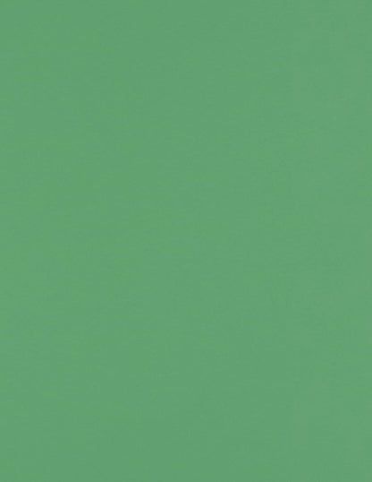 LUXPaper 8.5" x 11" Paper | Letter Size | Pastel Canary Yellow | 60lb. Text | 50 Qty