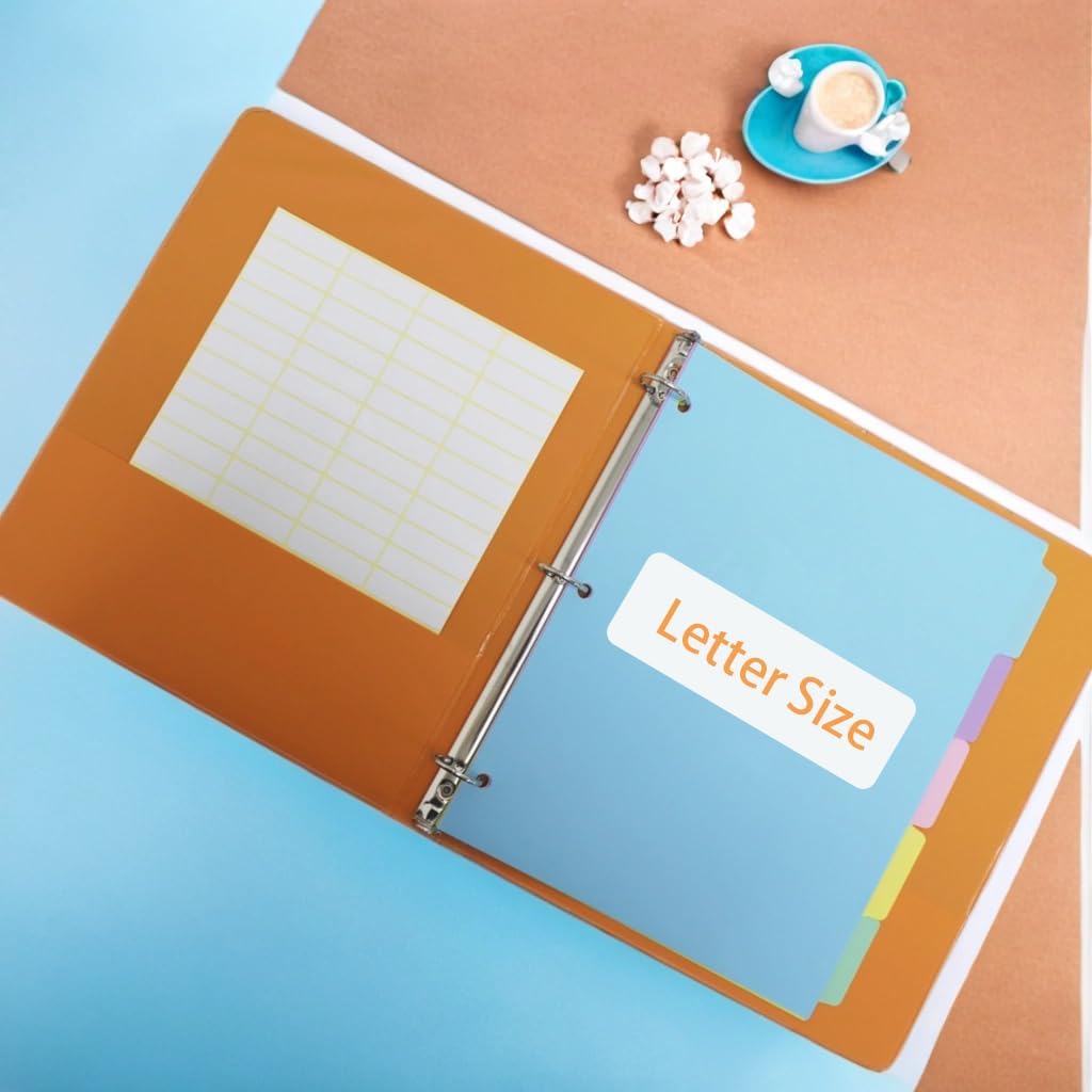 3 Ring Binder Dividers with TAB,48PCS/6 Set Plastic File Dividers,8 Tab 3 Hole Punch Dividers,Pastel Color,Letter Size,6 Sets