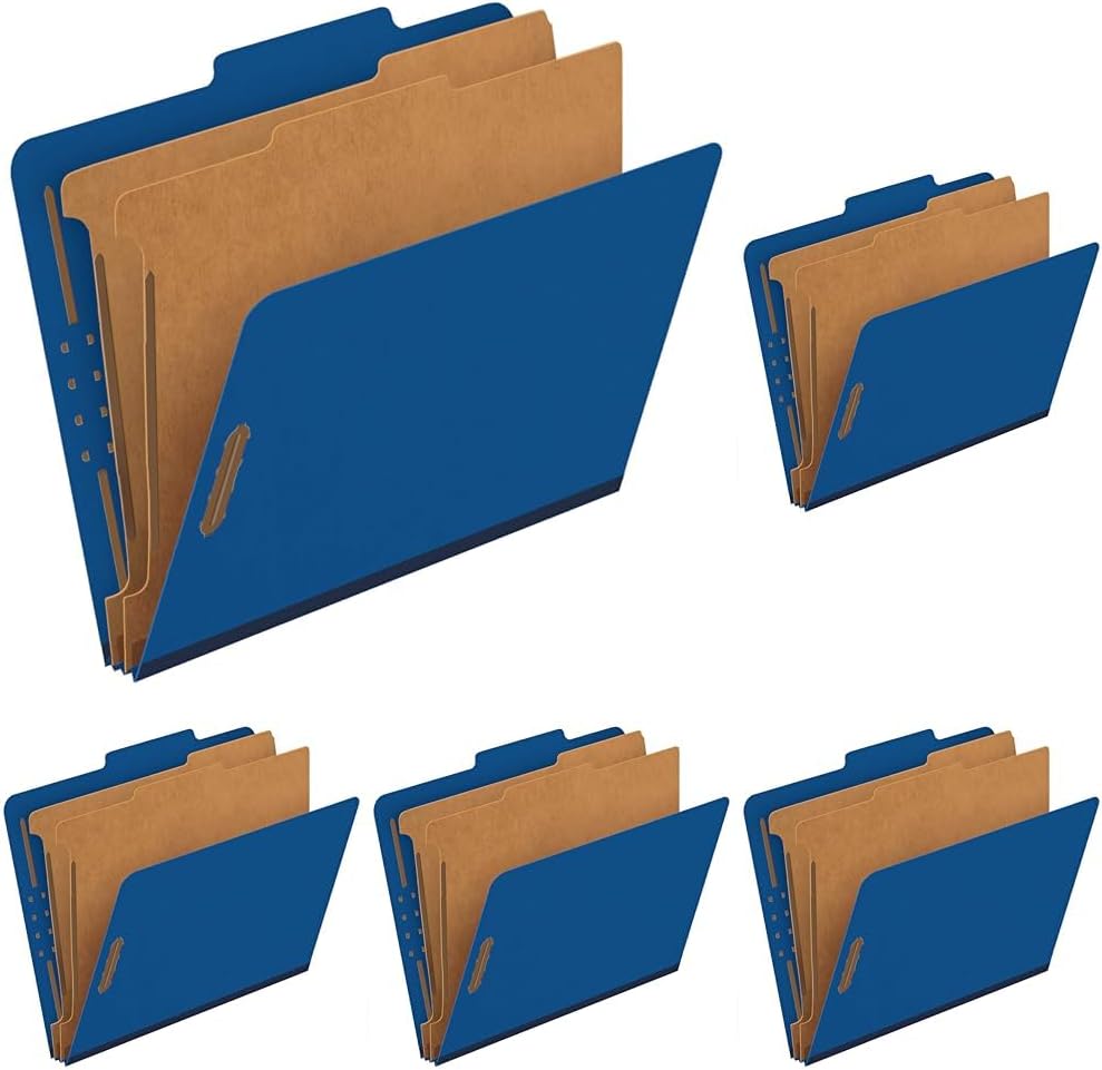 Pendaflex Classification File Folders,1 Divider, Durable File Organizer for Home, School or Office, Letter-Size Folders for Files, Paper Organizer, Durable Prongs, (B006NVMJCC)