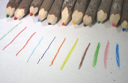 World Buyers Colored Wooden Tree Branch Twig Pencils 5" (1)