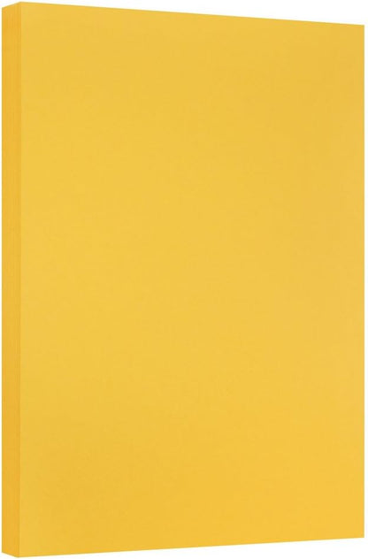 JAM PAPER Vellum Bristol 65lb Cardstock - 8.5 x 11 Coverstock - 147 gsm - Cream - 50 Sheets/Pack