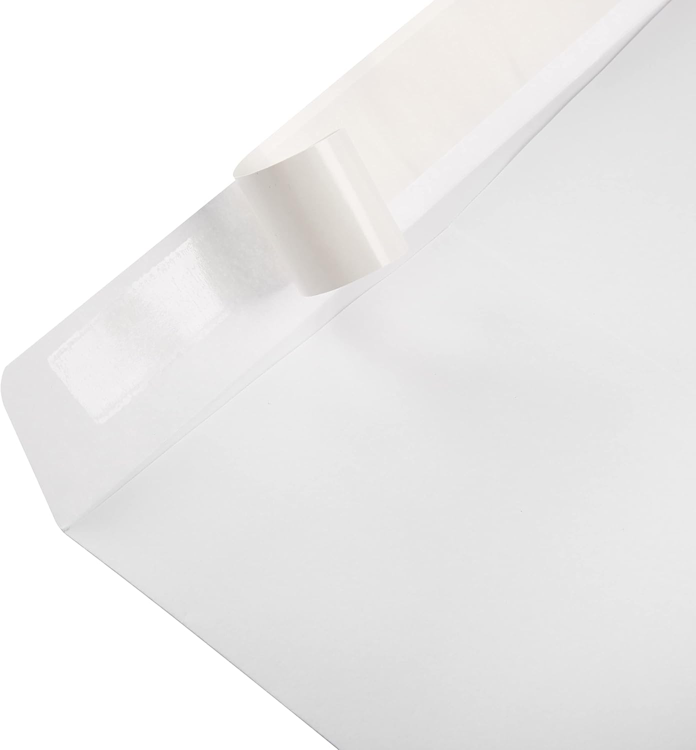Amazon Basics Catalog Mailing Envelopes, Peel and Seal, 9" x 12", Brown Kraft, 100-Pack