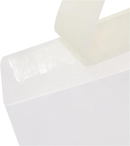 Amazon Basics Catalog Mailing Envelopes, Peel and Seal, 9" x 12", Brown Kraft, 100-Pack