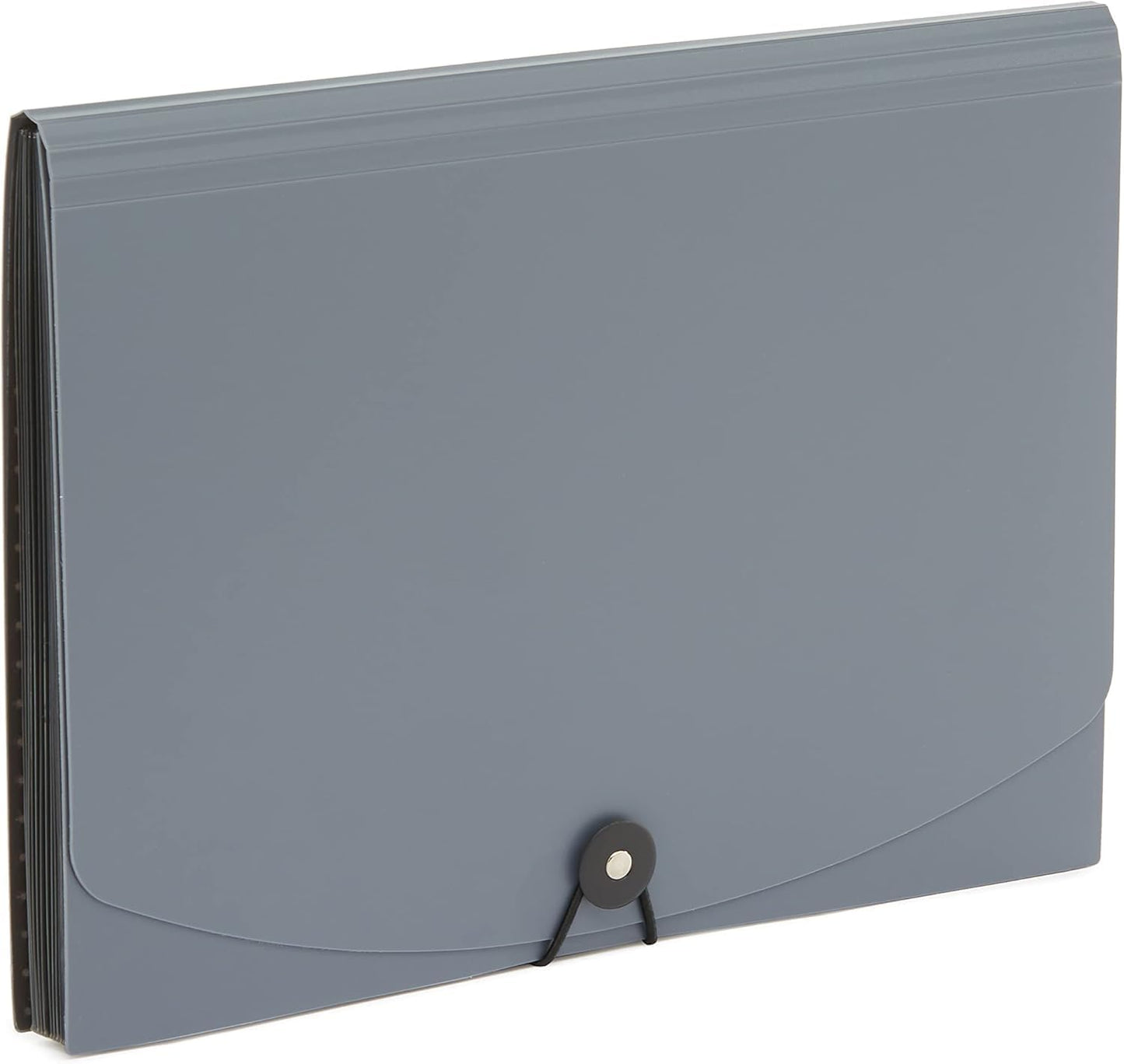 Amazon Basics Expanding Organizer File Folder for Documents, Letter Size, 13 Pockets, Waterproof, Black & Gray, 2-Pack