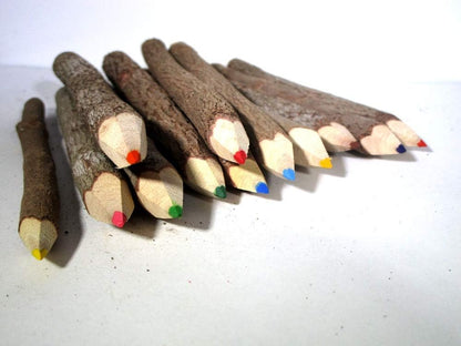 World Buyers Colored Wooden Tree Branch Twig Pencils 5" (1)