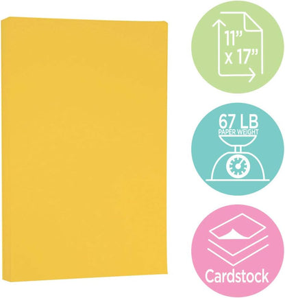 JAM PAPER Vellum Bristol 65lb Cardstock - 8.5 x 11 Coverstock - 147 gsm - Cream - 50 Sheets/Pack