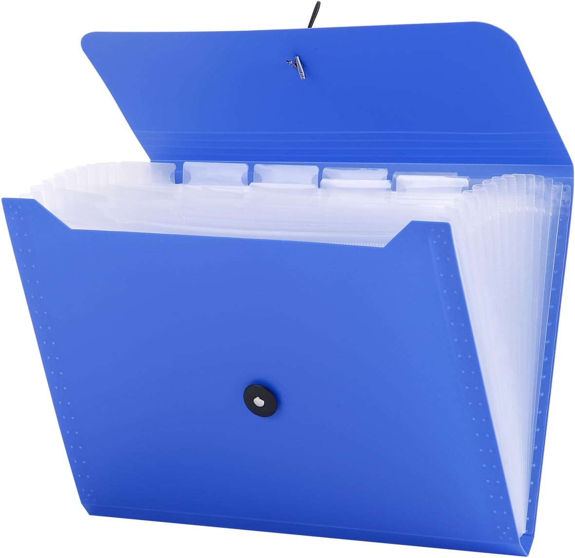 Accordion File Organizer,Expanding File Folder Important Document Organizer