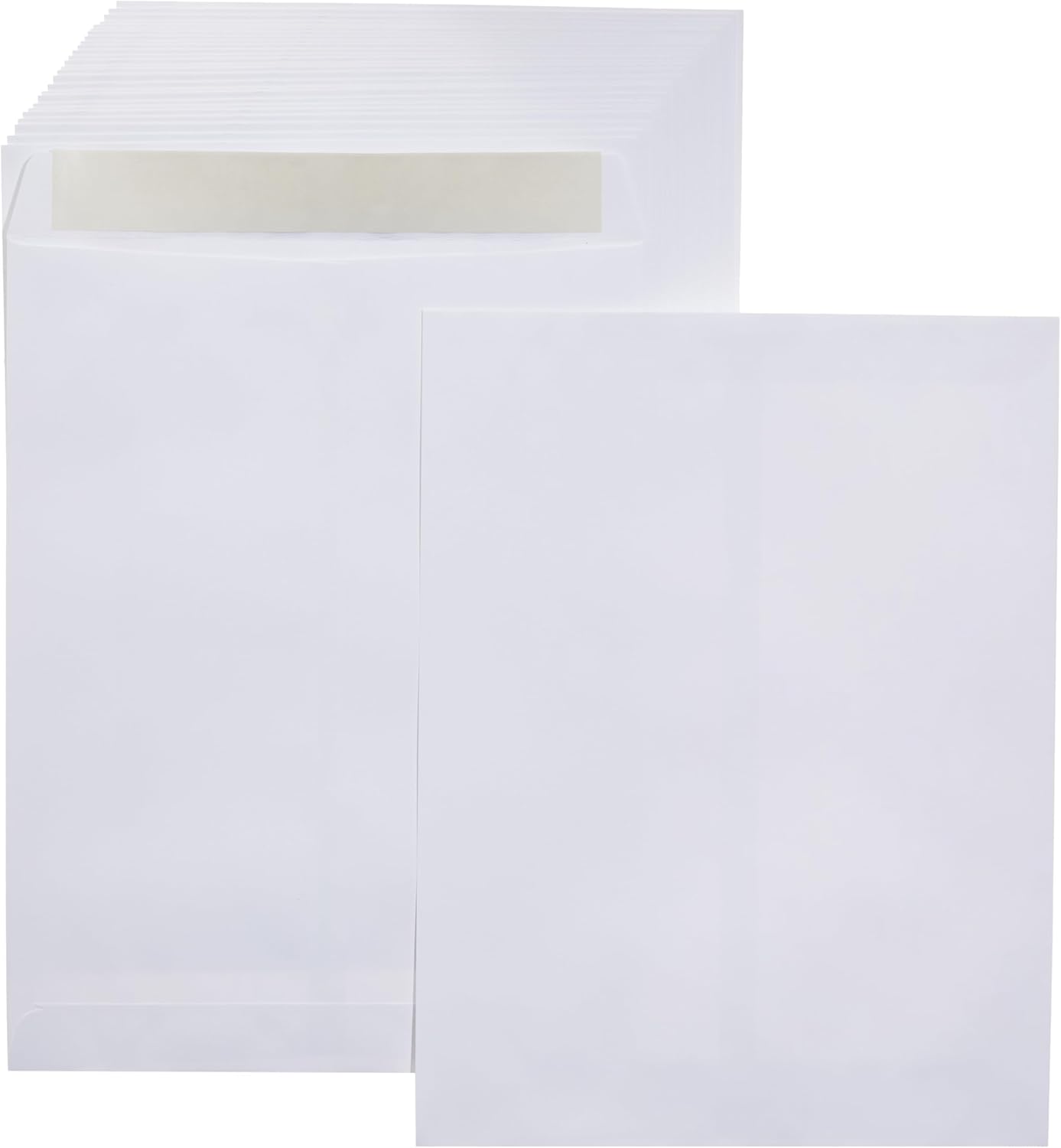 Amazon Basics Catalog Mailing Envelopes, Peel and Seal, 9" x 12", Brown Kraft, 100-Pack