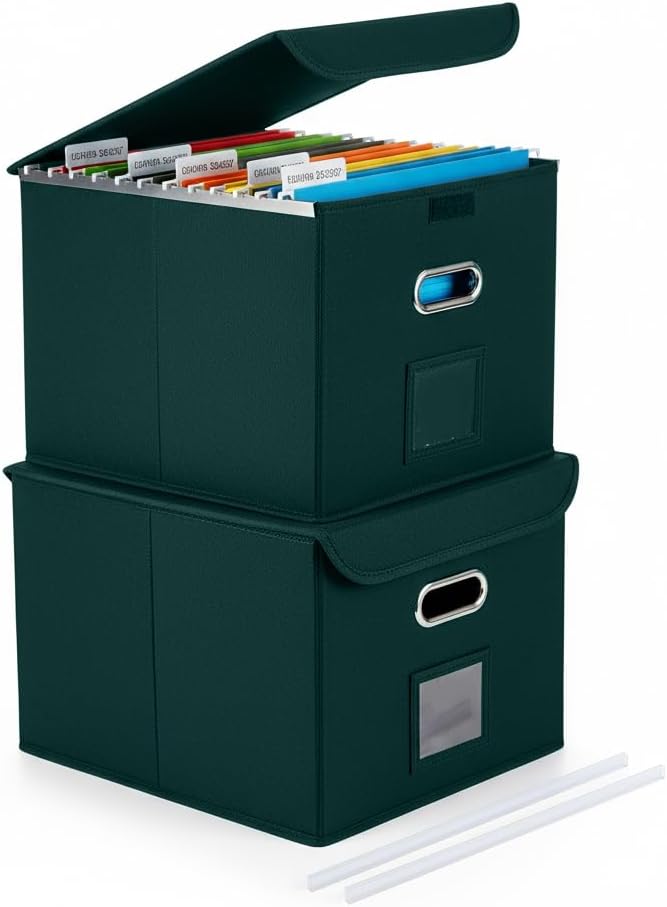 CADONO File Organizer Box with Lid, Large Hanging File Folder Organizer with Plastic Slide, Collapsible Portable Filing Storage Boxes for Office/Decor/Home (Black, 14.9 x 12.59 x 10.8 inch)