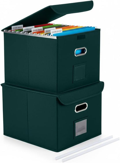 CADONO File Organizer Box with Lid, Large Hanging File Folder Organizer with Plastic Slide, Collapsible Portable Filing Storage Boxes for Office/Decor/Home (Black, 14.9 x 12.59 x 10.8 inch)