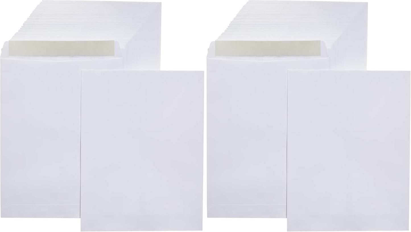 Amazon Basics Catalog Mailing Envelopes, Peel and Seal, 10 x 13 Inch, White, 100-Pack