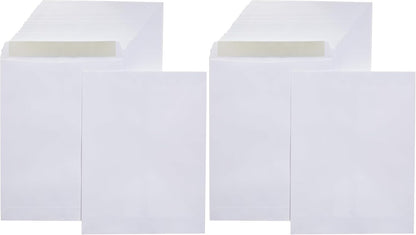 Amazon Basics Catalog Mailing Envelopes, Peel and Seal, 9" x 12", Brown Kraft, 100-Pack