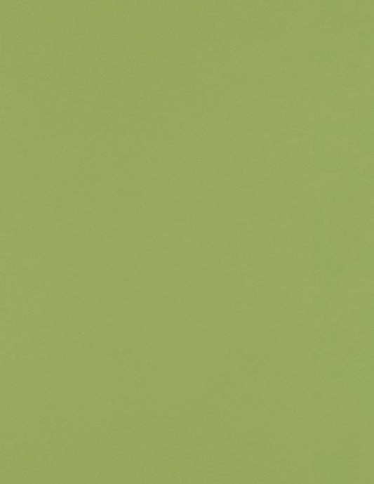 LUXPaper 8.5" x 11" Paper | Letter Size | Pastel Canary Yellow | 60lb. Text | 50 Qty