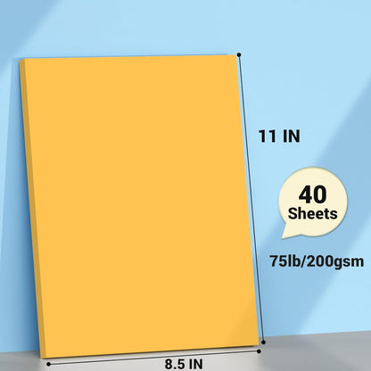 Cardstock 8.5 x 11, Thick Printer Paper 75 lb/200 gsm, 40 Sheets Card Stock White, Heavy Card stock, White CardStock Paper for Invitations, Diy Cards, Business Cards, Menus, Crafts, Drawing etc