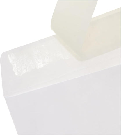 Amazon Basics Catalog Mailing Envelopes, Peel and Seal, 9" x 12", Brown Kraft, 100-Pack