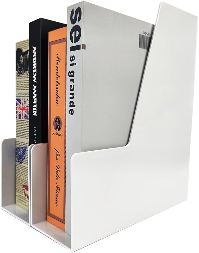 Vertical File Holder, 4 pack Clear Plastic Document Organizer and Clear Magazine Organizer, Multi-purpose Document Organizer for Home Office