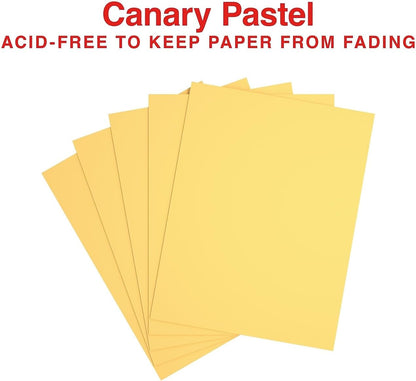 Staples Pastel Colored Copy Paper 8 1/2-Inch x 11-Inch Pink 500/Ream, For Office, School & Home