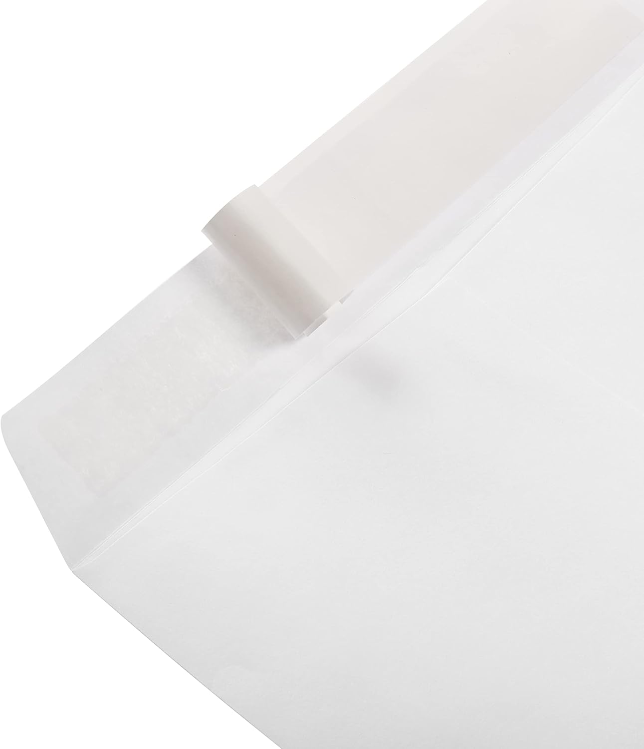 Amazon Basics Catalog Mailing Envelopes, Peel and Seal, 10 x 13 Inch, White, 100-Pack
