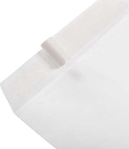 Amazon Basics Catalog Mailing Envelopes, Peel and Seal, 9" x 12", Brown Kraft, 100-Pack
