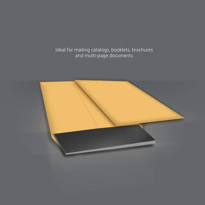 Amazon Basics Catalog Mailing Envelopes, Peel and Seal, 9" x 12", Brown Kraft, 100-Pack