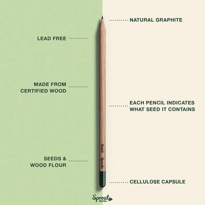 SproutWorld Wood-Cased Pencils | Teacher's Edition | HB Pre-Sharpened Graphite Plantable Wooden Pencils with flower, Herb & Vegetable Seeds | Gift for Teachers | 32 Pack