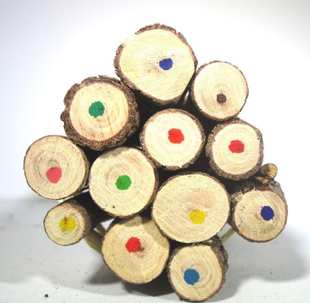World Buyers Colored Wooden Tree Branch Twig Pencils 5" (1)
