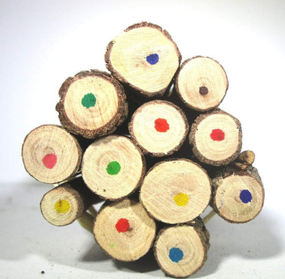 World Buyers Colored Wooden Tree Branch Twig Pencils 5" (1)