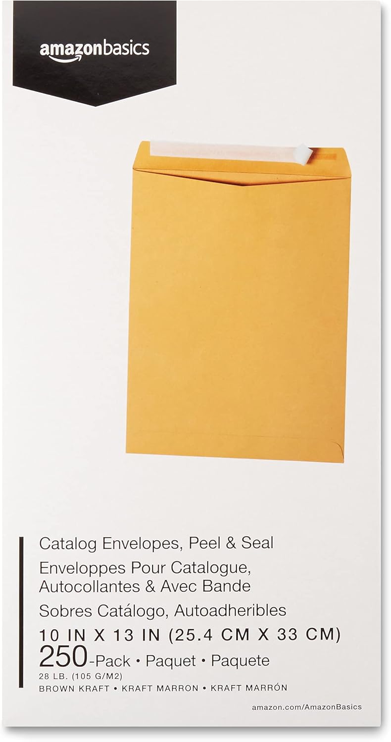 Amazon Basics Catalog Mailing Envelopes, Peel and Seal, 9" x 12", Brown Kraft, 100-Pack