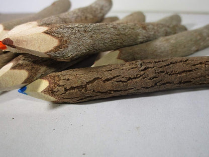 World Buyers Colored Wooden Tree Branch Twig Pencils 5" (1)