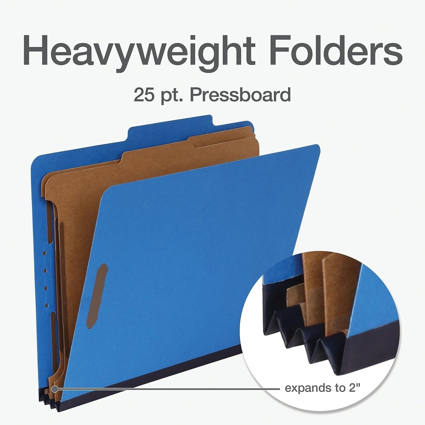 Pendaflex Classification Folders, Standard, 2 Dividers, Embedded Fasteners, 2/5 Cut Tab, Assorted, Letter Size, 10/BX (24025)