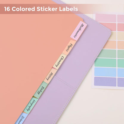 SKYDUE 8 Tab Durable Plastic Dividers, Big Tab Dividers for 3 Ring Binder, Letter Size,Write & Erase Binder Dividers with Tabs, with Sticker Labels, 1 Set, Aesthetic Pastels Binder Dividers