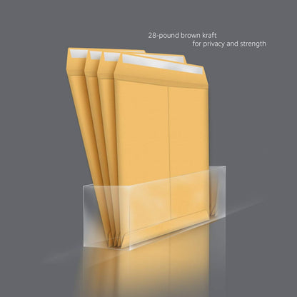 Amazon Basics Catalog Mailing Envelopes, Peel and Seal, 9" x 12", Brown Kraft, 100-Pack