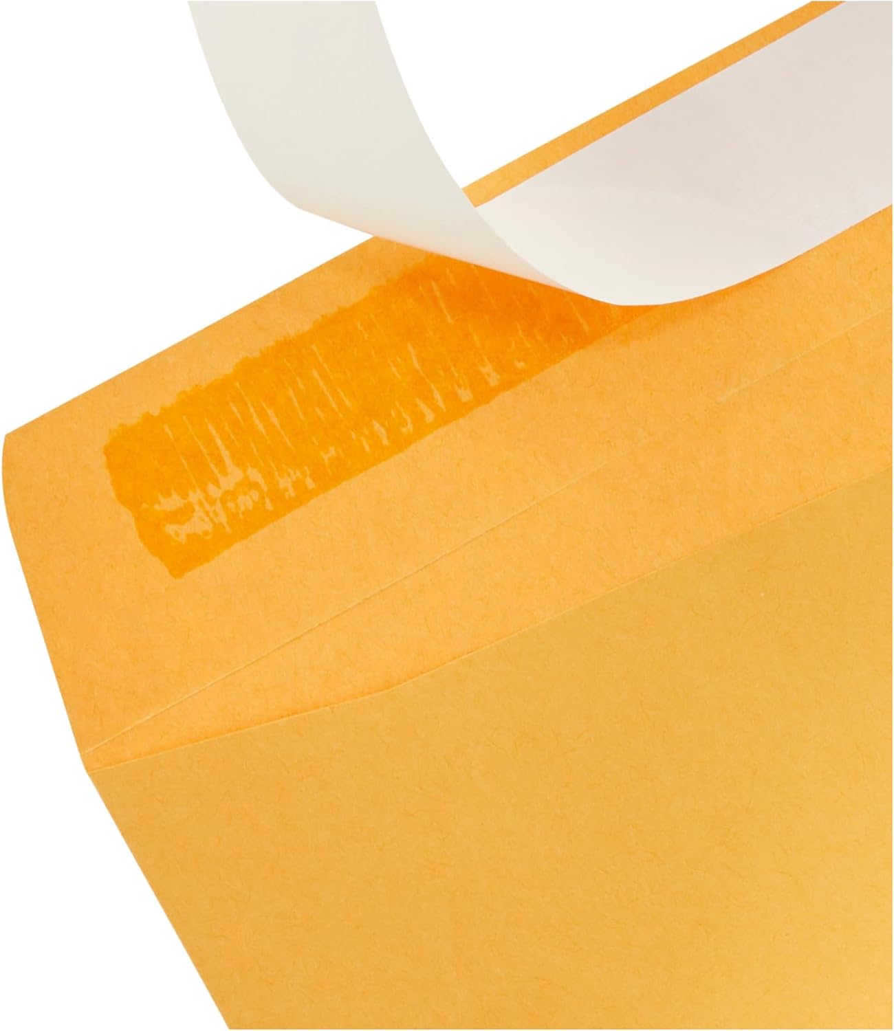 Amazon Basics Catalog Mailing Envelopes, Peel and Seal, 10 x 13 Inch, White, 100-Pack