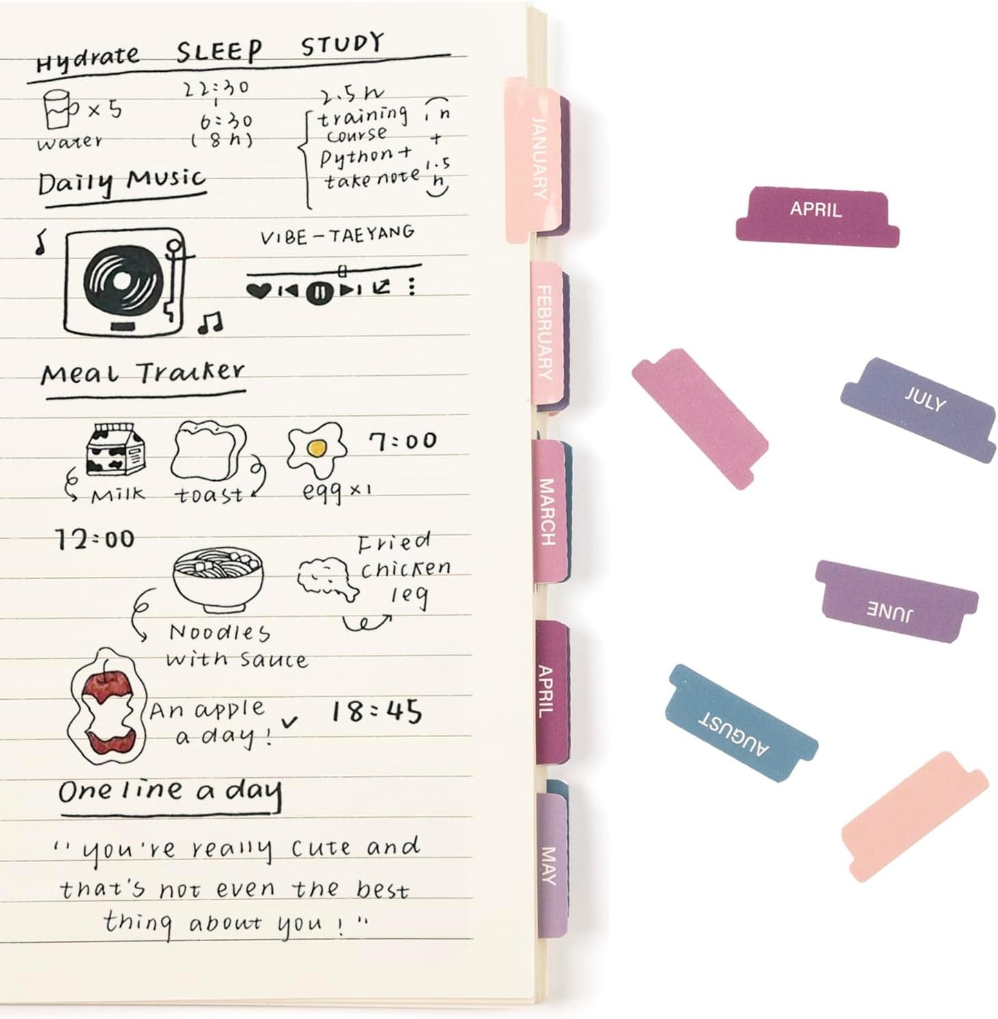 Lumintutu Laminated Planner Monthly Stickers,40 Adhesive Plan Tabs for Notebooks (2 Sets 12 Month Tabs and 16 Blank Tabs), Calendar Monthly Divider Set (Cappuccino)