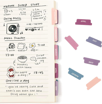 Lumintutu Laminated Planner Monthly Stickers,40 Adhesive Plan Tabs for Notebooks (2 Sets 12 Month Tabs and 16 Blank Tabs), Calendar Monthly Divider Set (Cappuccino)
