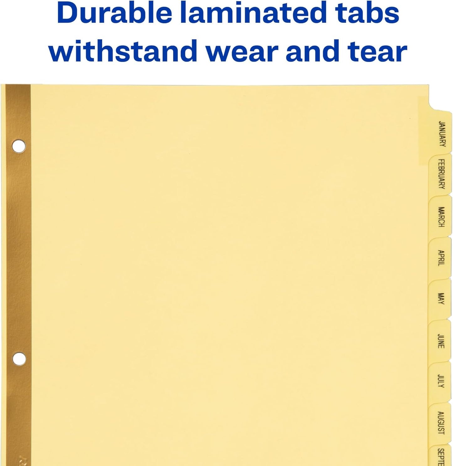 Avery Preprinted Dividers with JAN-DEC Tabs, 1 Set (11307)